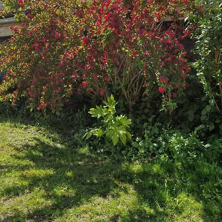 Het Met De Groene Deur Amsterdam