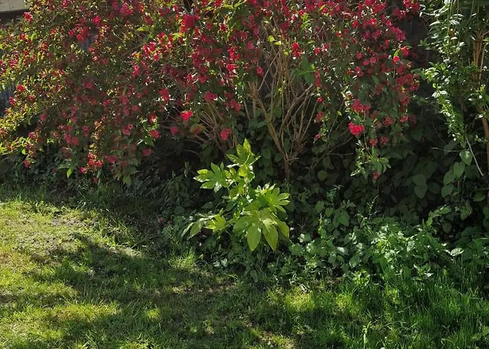 Het Met De Groene Deur Амстердам